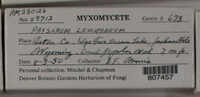 Image Associated With the Occurence